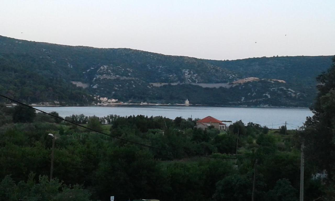 Andric *