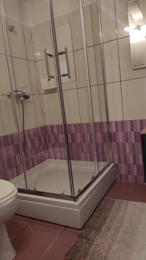 Andric Apartment *