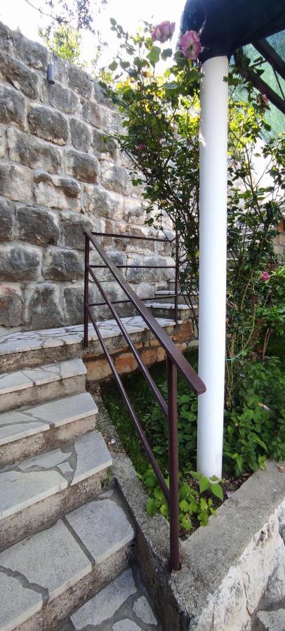 Apartment Andric *